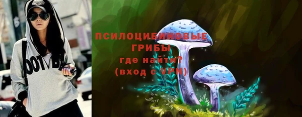 ПСИЛОЦИБИНОВЫЕ ГРИБЫ Сосновка