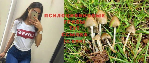 гашик Белоозёрский