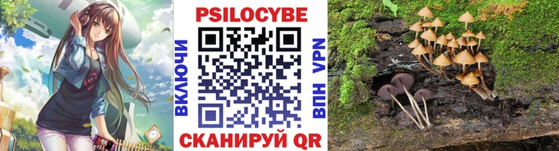 Галлюциногенные грибы Psilocybine cubensis  Бугульма 